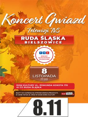 Grafika dekoracyjna w jesiennych barwach. Fotografie gwiazd telewizji TVS.